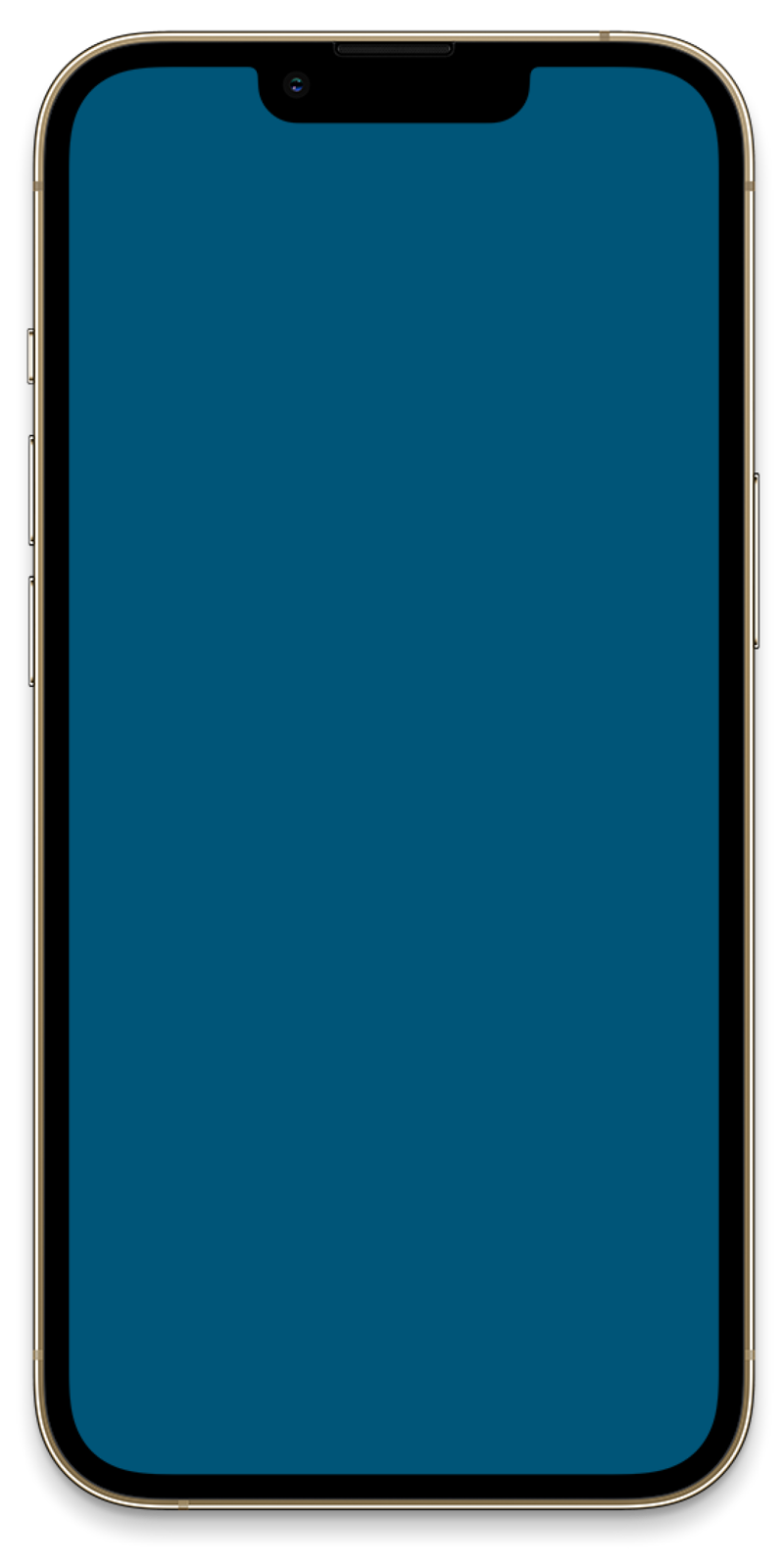 iPhone outline
