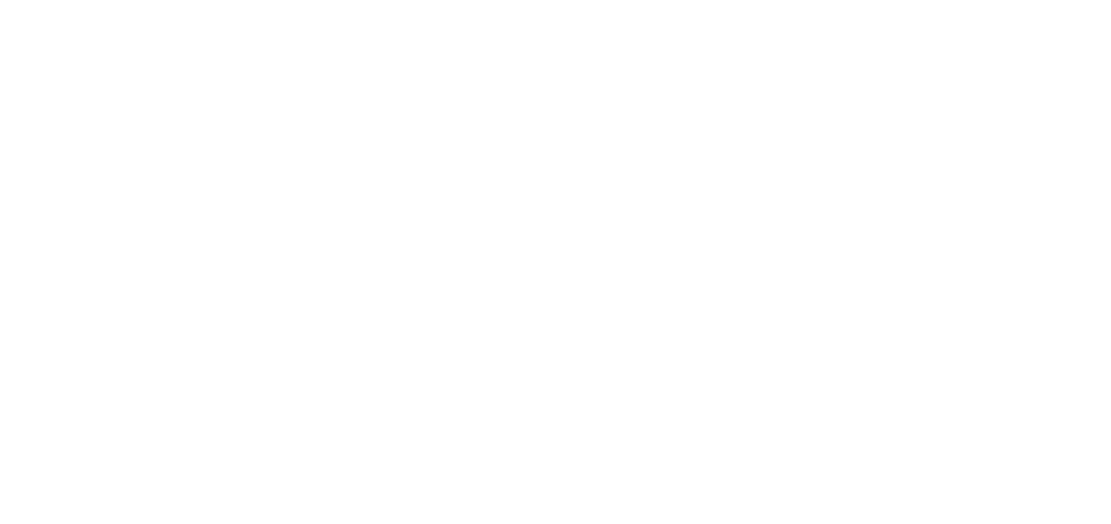 Diagramma della nostra metodologia